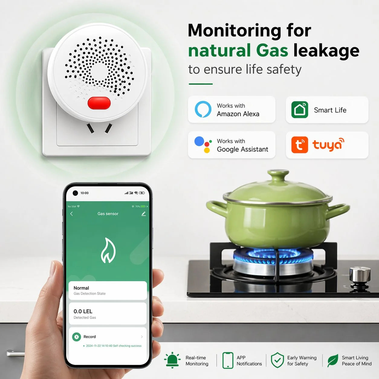 HomeShield Smart Gas