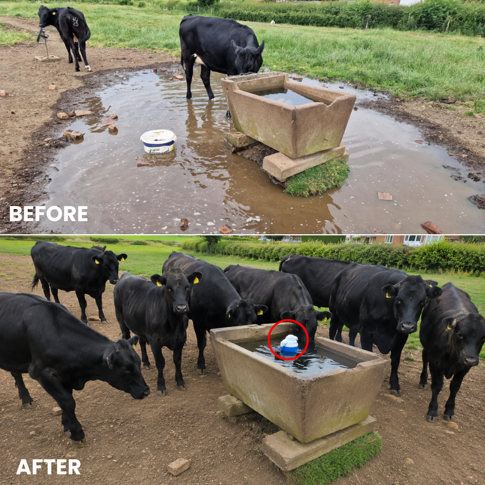 AquaGuard™ — Eliminate Water Waste on Your Farm