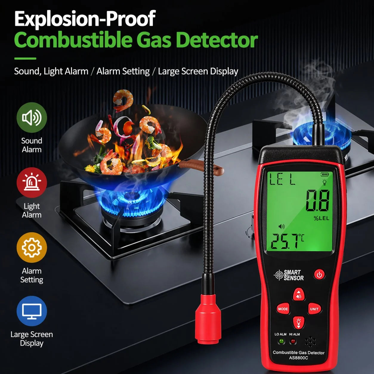 SafeGas Alert Pro