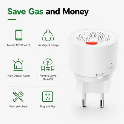 HomeShield Smart Gas