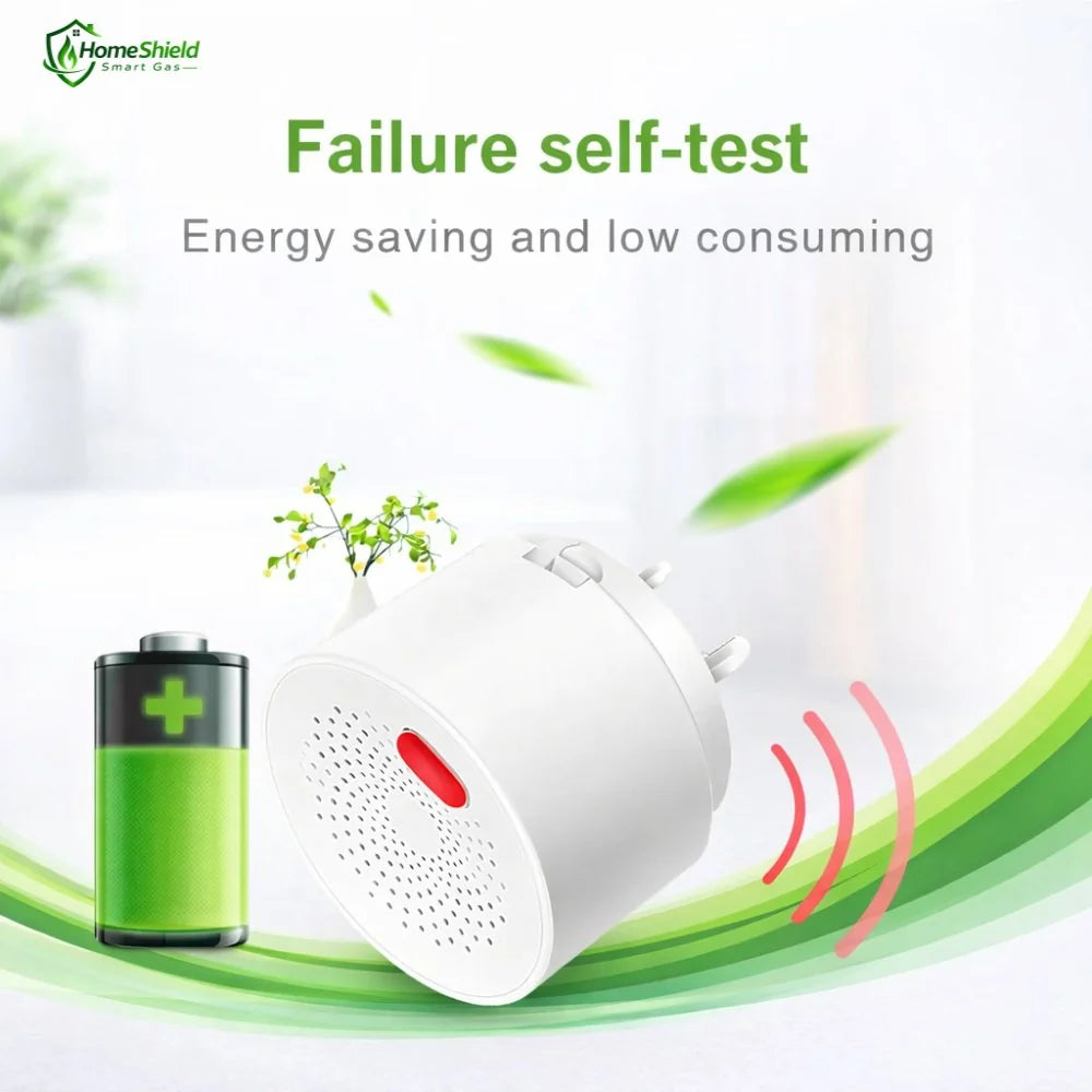 HomeShield Smart Gas